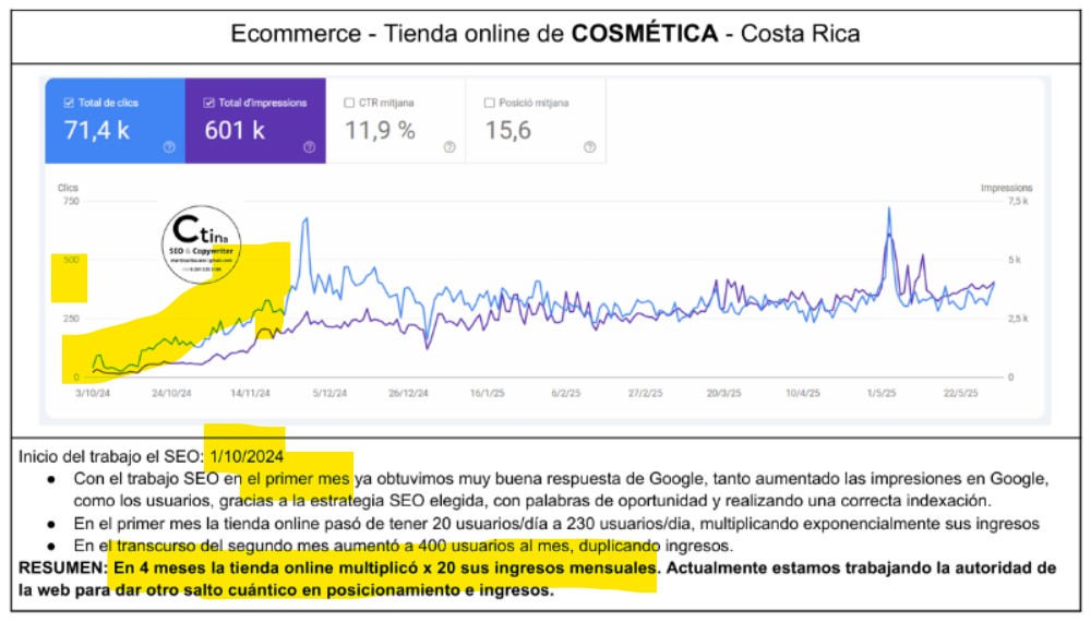 Caso de éxito posicionamiento SEO en tiendas online