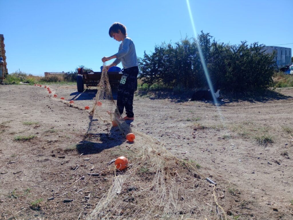Dídac Aprendizaje Libre Red